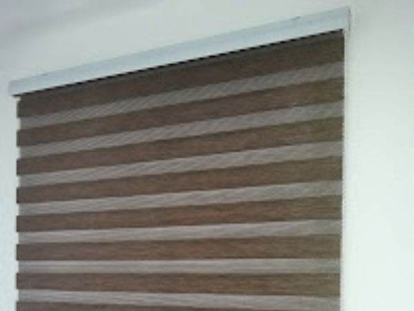 Zebra blinds 1