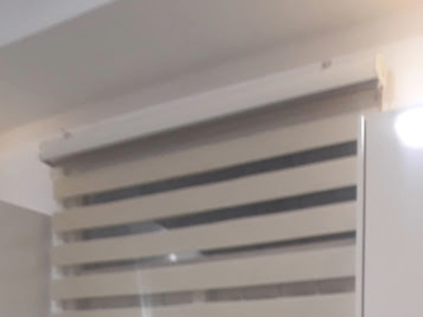 Zebra blinds 2